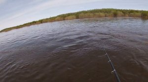 РЫБАЛКА НА ПРОДОЛЬНИКИ \ ЕСТЬ РЫБА НА ПЕЧОРЕ