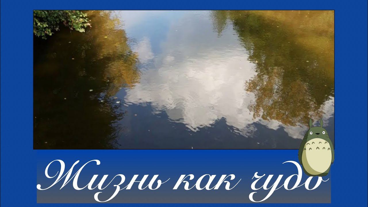 Жизнь как чудо