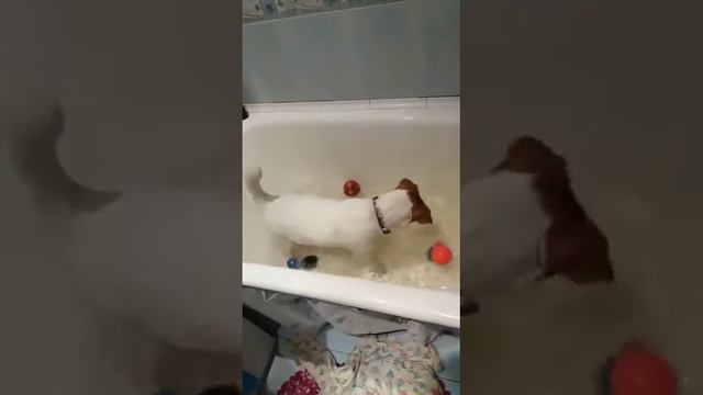 Джеки смотреть онлайн