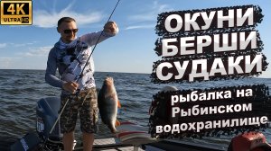 Окуни, берши, судаки Рыбалка на Рыбинском