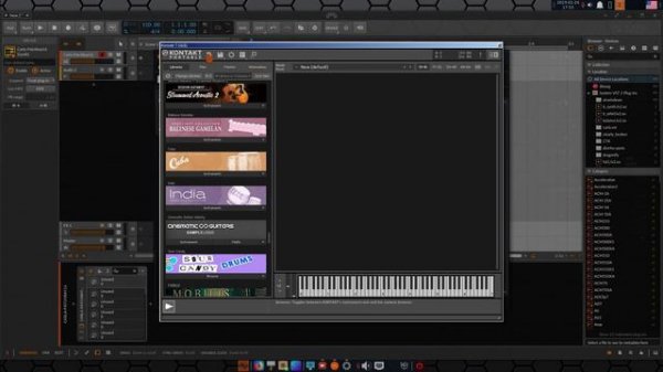 Native Instruments – Kontakt 7 in Linux.