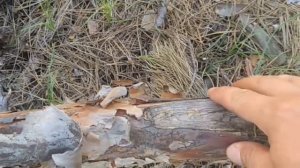 Аккумуляторные цепные пилы с Алиэкспресс