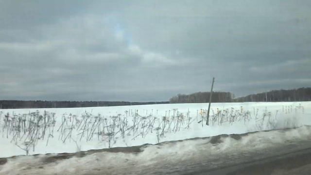 Пушкино, автобус 21, участок Новая деревня - Балсуниха смотреть онлайн