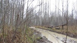 Каракат Вепрь V6