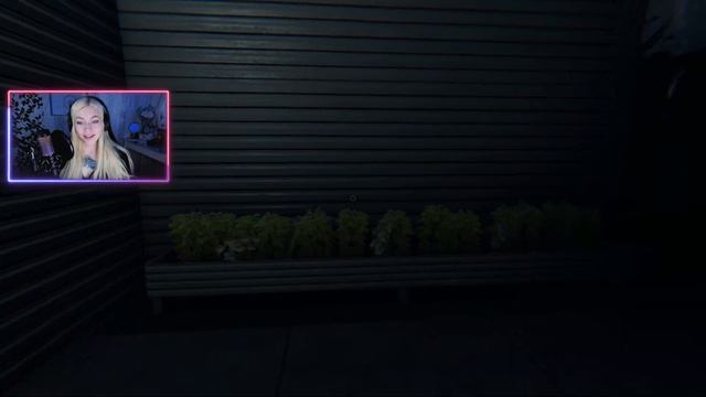 Phasmophobia ▸Выгнала призрака из его же комнаты . Соло Кошмар. смотреть онлайн