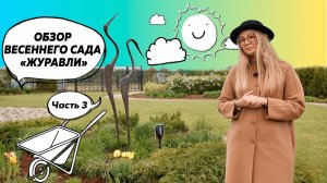 Бюджетный малоуходный сад | Декоративные кустарники | Многолетники | Спирея | Пузыреплодник