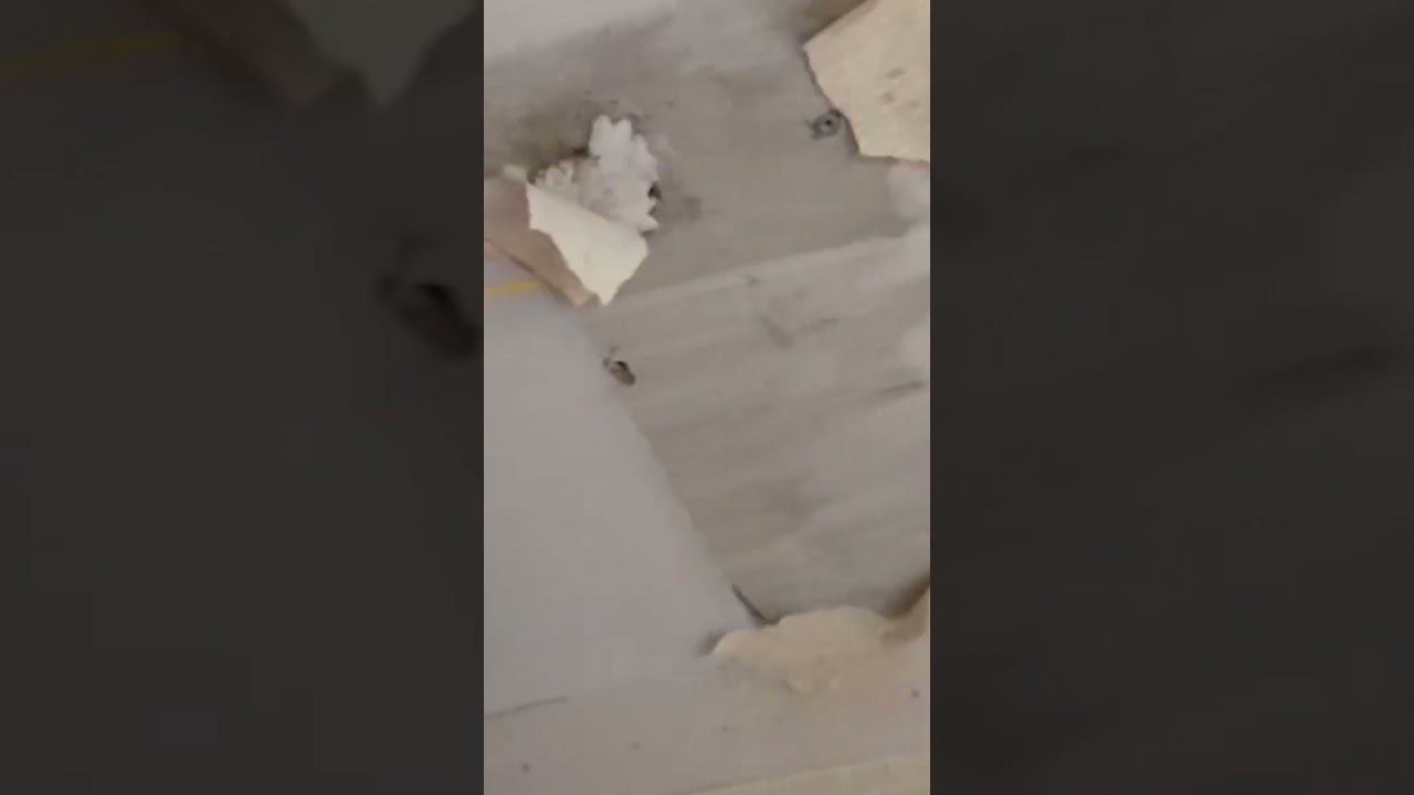 когда же сделаю ремонт? смотреть онлайн