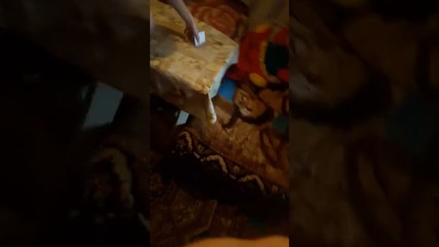 Сестре в чай добавили соли смотреть онлайн