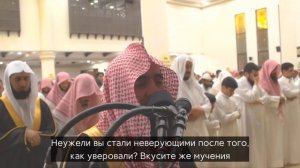 Чтение Корана Мухаммад люхайдан