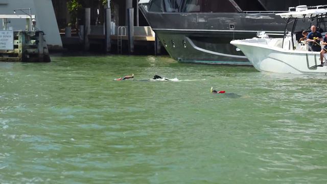 MAN OVERBOARD SWALLOWED BY THE MIAMI RIVER | BOAT ZONE смотреть онлайн