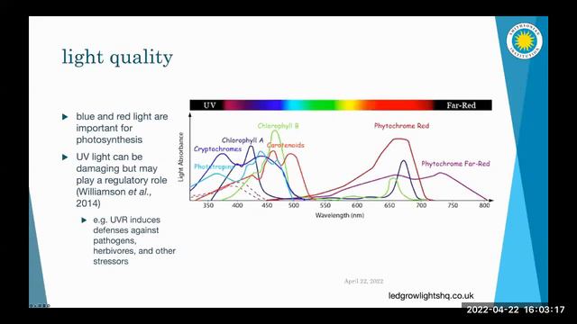 Bringing to light the effects of full spectrum sunlight on a desert moss смотреть онлайн