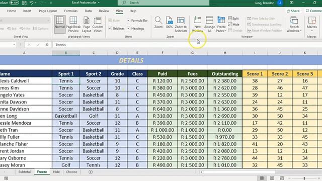 MS Excel | Freeze Panes смотреть онлайн