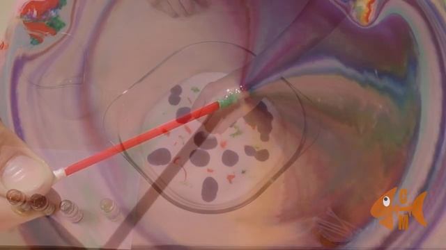 Опыт с молоком и красками/Саша рисует на молоке/ Молоко + мыло + краски = красивый эксперимент!!! смотреть онлайн