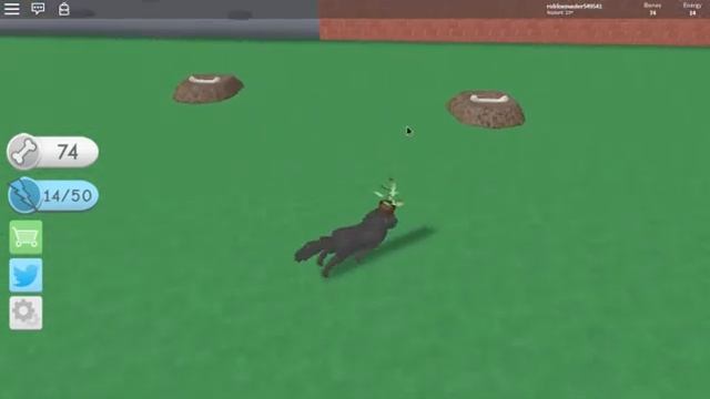 I became a dog! (Roblox Dog Simulator) смотреть онлайн