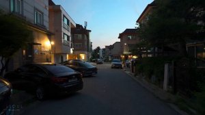 Relaxing Night Walk in the Forest and Village _ Nature Sounds for Sleep and Study