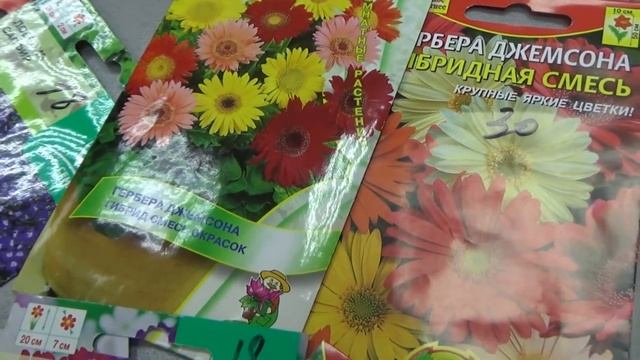 Обзор однолетников для февральского посева. смотреть онлайн