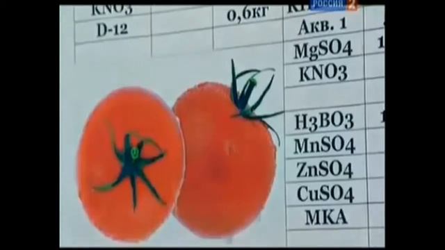МПО "УДача". Теплица на основе аэропоники. смотреть онлайн