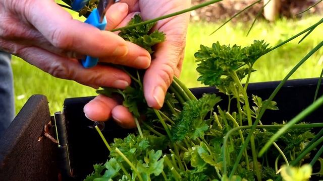 Красота в каждой маске