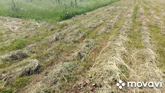 Самодельные грабли для сена. Уборка сена смотреть онлайн