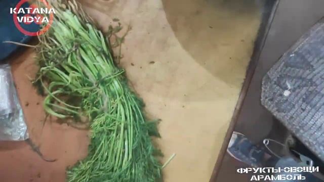 Ашрам "Исход".Спасибо Серёге. Жора где ты был? Настя ЧуДеСа. Оператор, монтажер -Жорж "Кулинария". смотреть онлайн