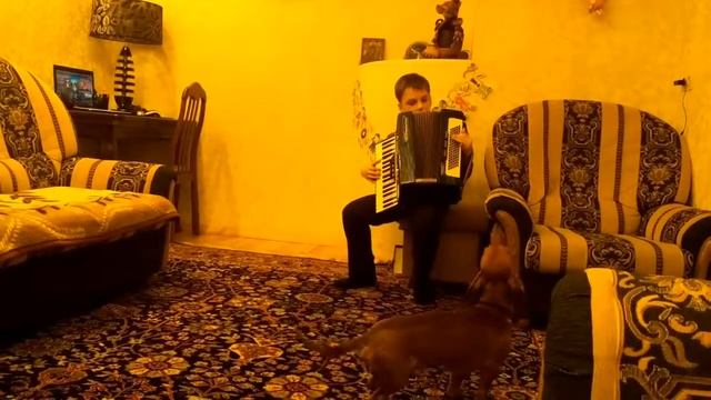 Играю рябину и медленный вальс смотреть онлайн
