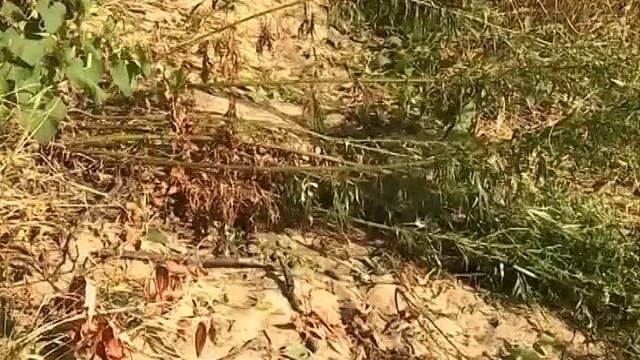 Рыбак Рыбаку 457 "Боковой кивок и уклейка". смотреть онлайн