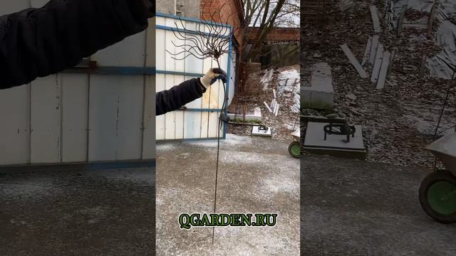 Украшение "Зонтичное растение" смотреть онлайн