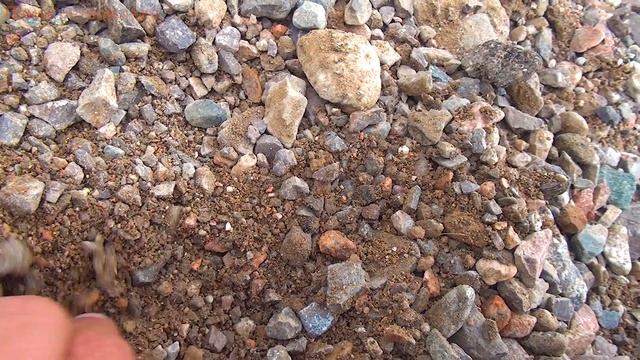 Нашел синий камень аквамарин Максик и золотишко смотреть онлайн