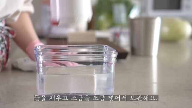 바퀜 진공용기 공동구매｜냉장고정리｜식재료보관법｜식재료 관리의 필수품 смотреть онлайн