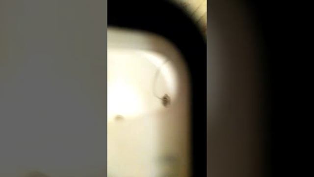 Гланцевая уборка