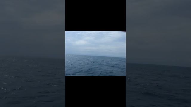 там за туманоми смотреть онлайн