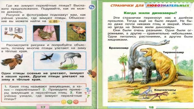 Где зимуют птицы? Окружающий мир. 1 класс, 2 часть. Учебник А. Плешаков стр. 16-17 смотреть онлайн
