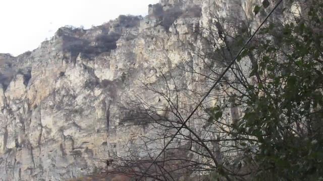 MVI_3606 смотреть онлайн