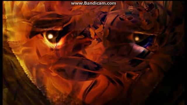 5 вещей о которых сожалеют люди перед Смертью! смотреть онлайн