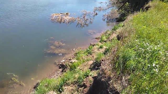 р. Сакмара Гусиное 18.06.2021 смотреть онлайн