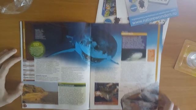 Чудеса природы №1 - Зуб акулы - Eaglemoss