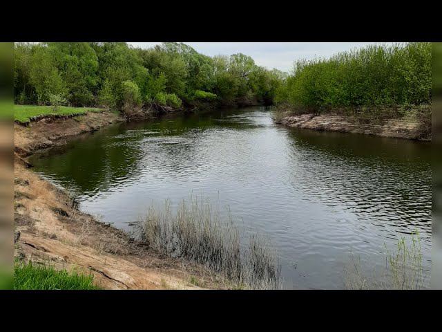 Река Рязанской области. Холодный май 2022 ( просто природа ). смотреть онлайн