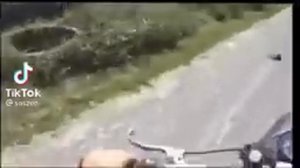Бедный ёжик, а пригляделся насрали???
