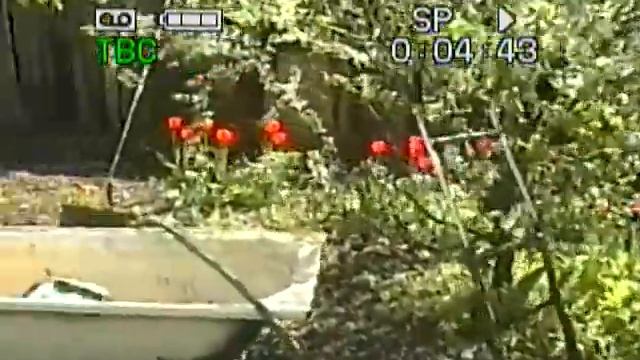 Липецк стиралка Фея 1988 г смотреть онлайн