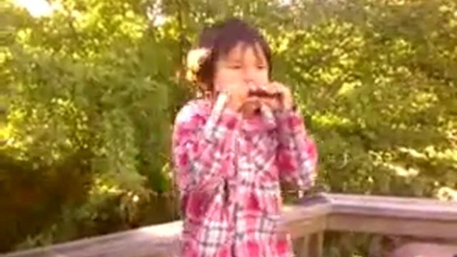 harmonica jams смотреть онлайн