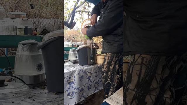 Виноградный сок через соковыжималку. смотреть онлайн
