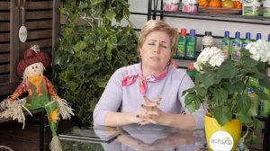 Высокие грядки на даче Часть 2. Как и из чего сделать грядки своими руками?