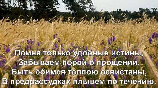 Ты просто хочешь счастья... смотреть онлайн