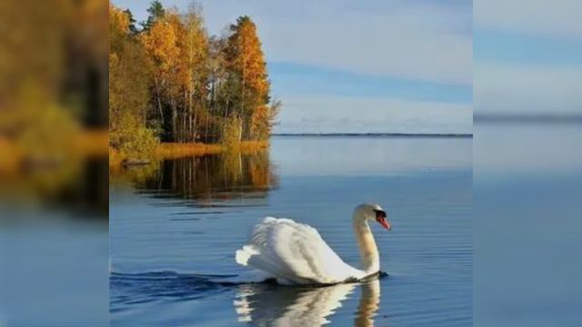 Божьего благословения👼🙏❤ Будьте ХРАНИМЫ ГОСПОДОМ БОГОМ🙏🙏🙏 смотреть онлайн