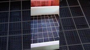 обзор инкубатора НЕСУШКА 63 яйца,  выводы по инкубации, мой результаты