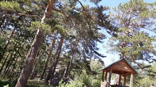 Подъезд перед озером и озеро Моховое смотреть онлайн