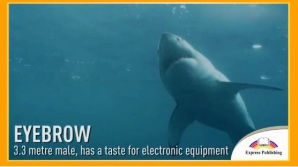 Aspect 10. Module 5. Progress Check. White shark investigation. p. 73