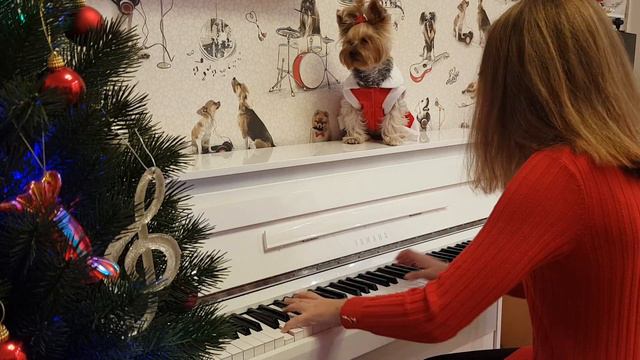 М. Дворжак. Этюд № 28 // M. Dvorac. Etude № 28