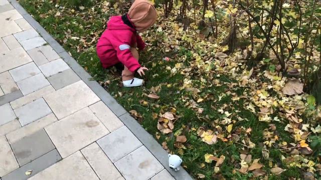 Осенние приключения Евы с Мимимишками смотреть онлайн