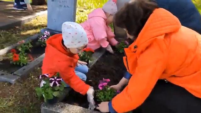 Акция "Алая гвоздика" смотреть онлайн